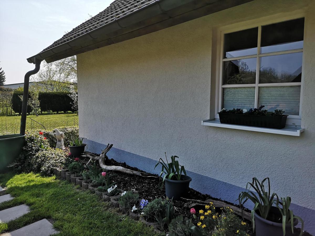 Rappin Boddenhus Auf Ruegen - Ferienwohnungen Und Pension מראה חיצוני תמונה